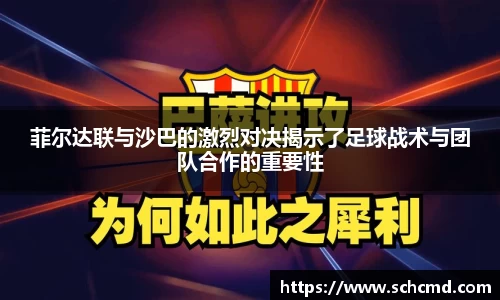星空.综合体育